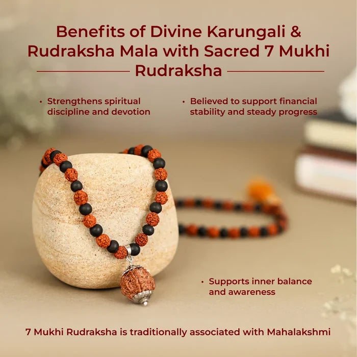 Divine Karungali & Rudraksha Mala with Sacred Mukhi Rudraksha - view 3