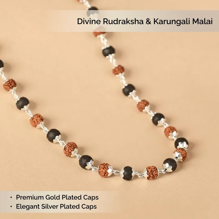 Divine Rudraksha & Karungali Malai | Govt. Lab Certified - view 2