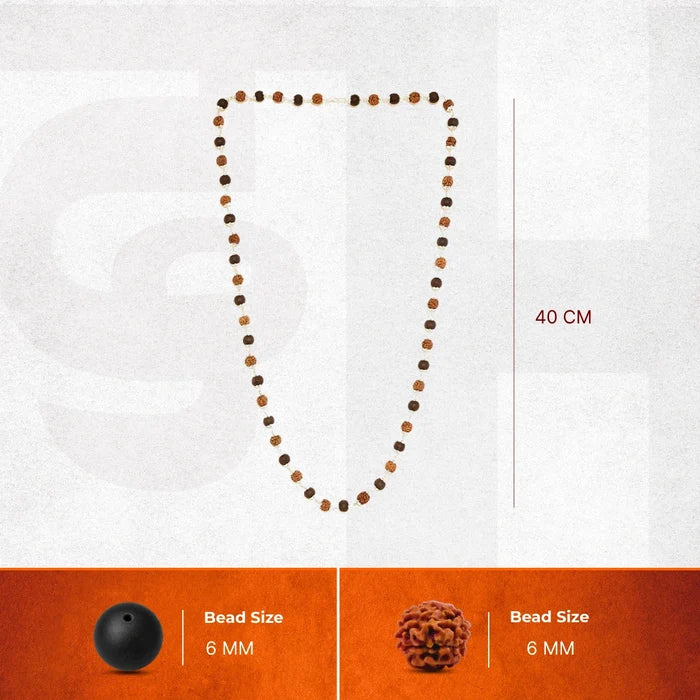 Divine Rudraksha & Karungali Malai | Govt. Lab Certified - view 4