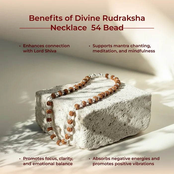 Divine Rudraksha Necklace - 54 Bead - view 4