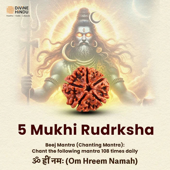 Vaastu Kavach - view 2