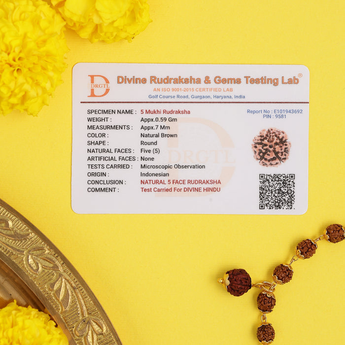 Golden Cap 5-Mukhi Rudraksha – Lab Certified - view 5