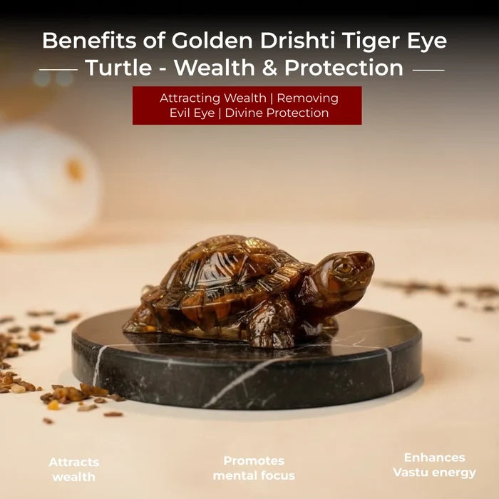 Golden Drishti Tiger Eye Turtle - Wealth & Protection - view 4
