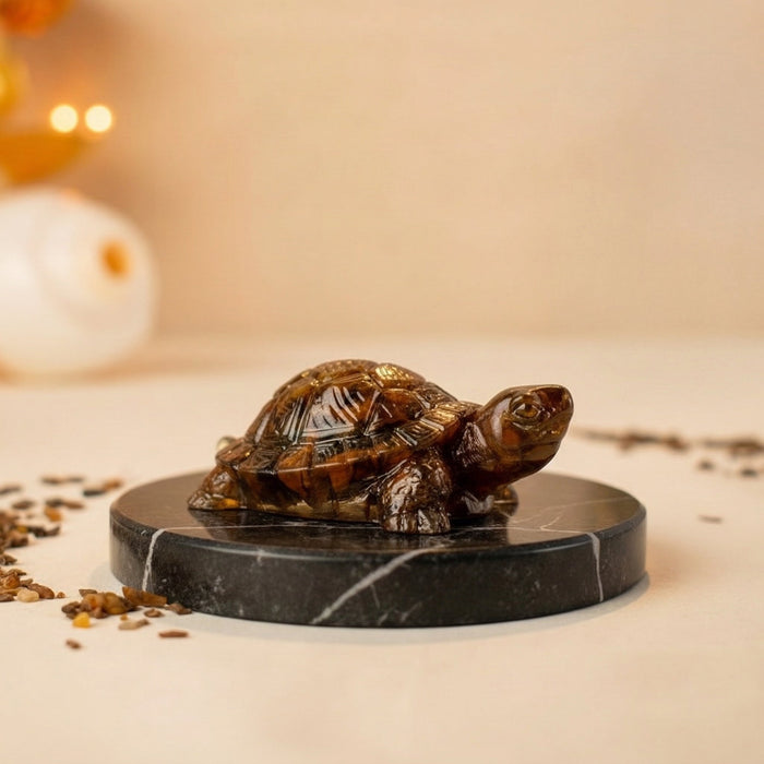 Golden Drishti Tiger Eye Turtle - Wealth & Protection - view 5