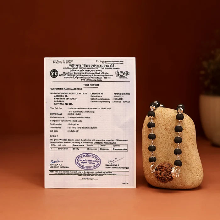 Karungali Mala in Silver-Cap with 7 Mukhi Rudraksha - view 2