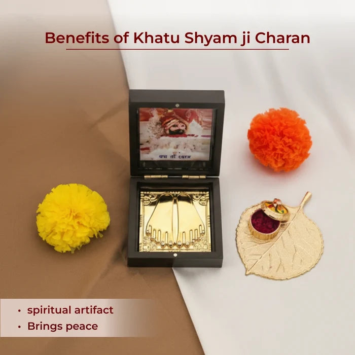 Khatu Shyam ji Charan - view 3