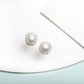 Luminous Harmony CZ-Pearl 925 Sterling Silver Stud Earrings