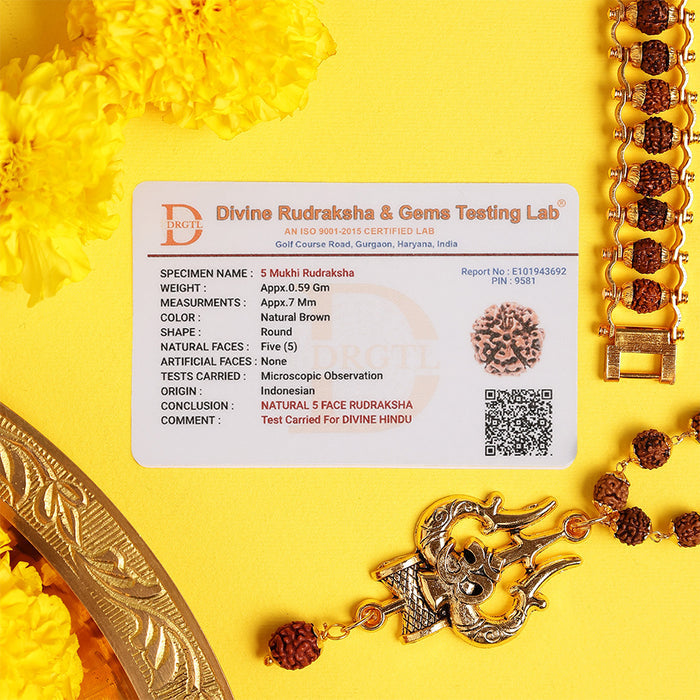 Om Shiva Divine Rudraksha Combo - view 4