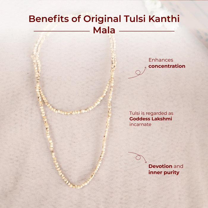 Original Tulsi Kanthi Mala | For Bhakti, Protection & Peace - view 3