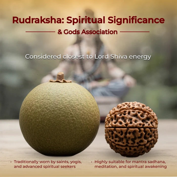 Pure Black Rudraksha Mala - 108 Beads