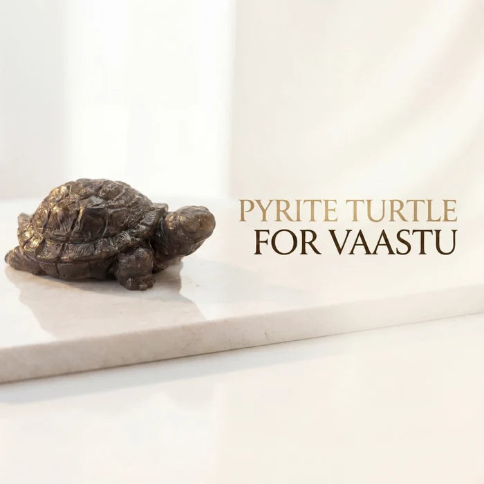 Pyrite Turtle for Vaastu