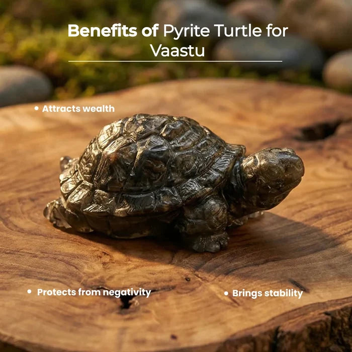 Pyrite Turtle for Vaastu - view 3