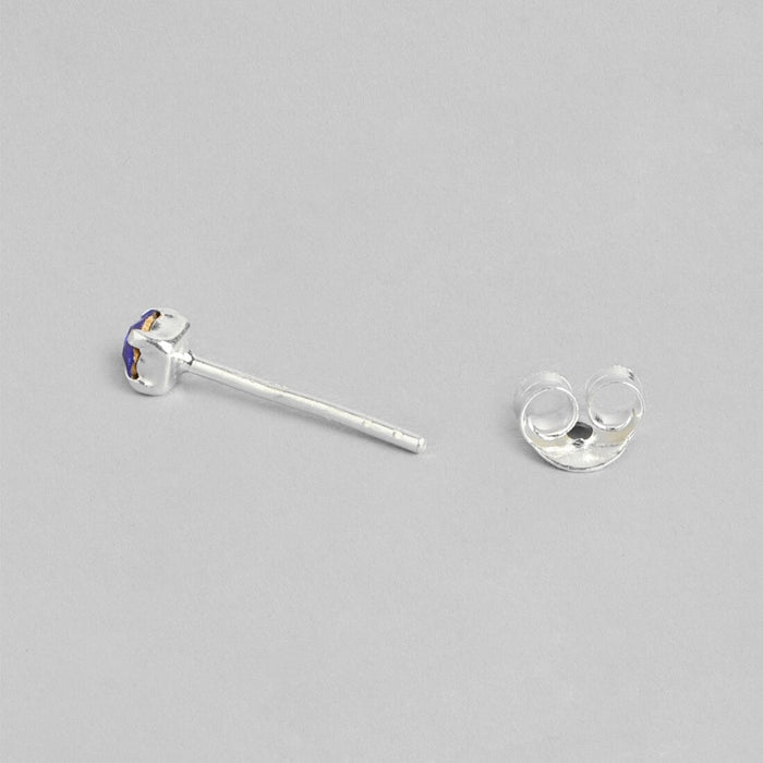 Radiant Brilliance 925 Sterling Silver Stud Earrings
