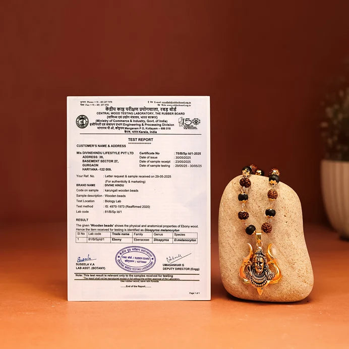 Rudraksha Karungali Malai in gold-cap with Shiv pendant, product view