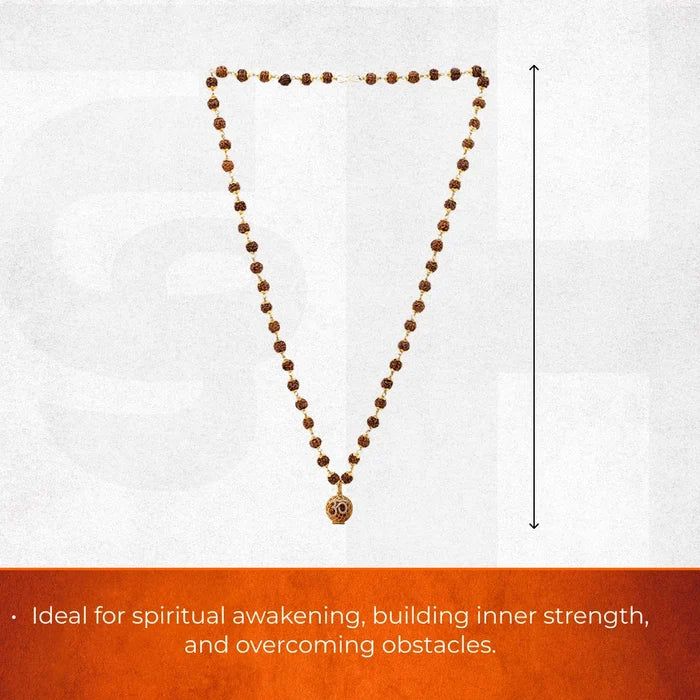 Rudraksha Mala with 9 Mukhi Rudraksha - view 6