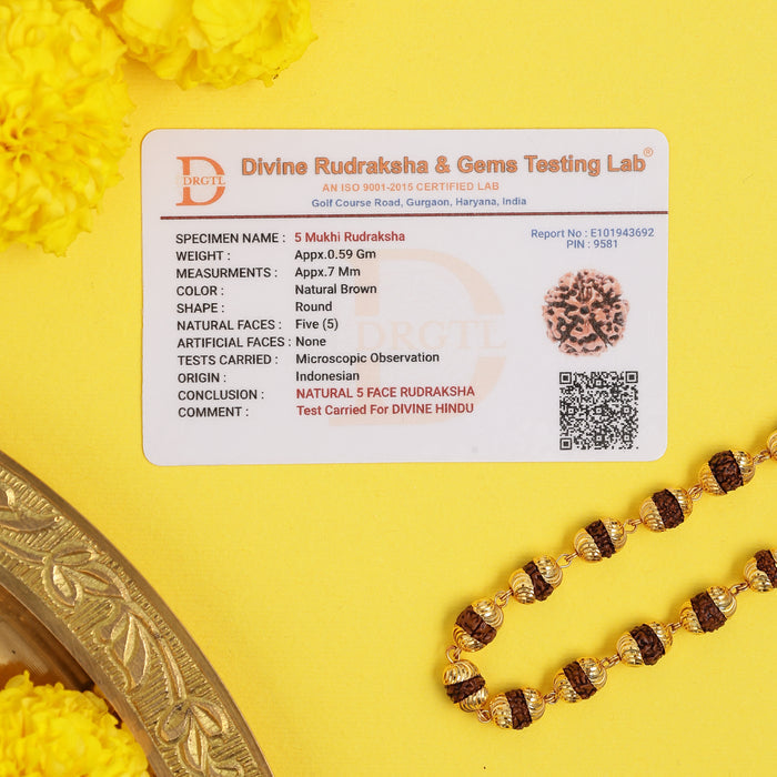 Rudraksha Mala with Golden Cap | 54 Beads - view 5