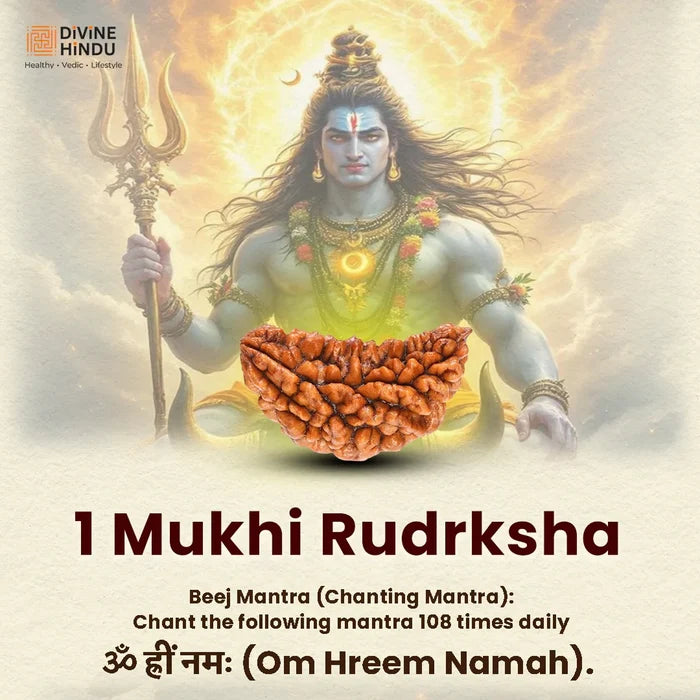 Shiv Shakti Kavach - view 2