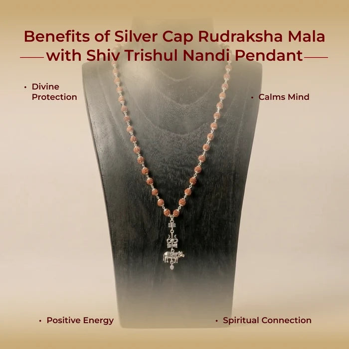 Silver Cap Rudraksha Mala with Shiv Trishul Nandi Pendant - view 4