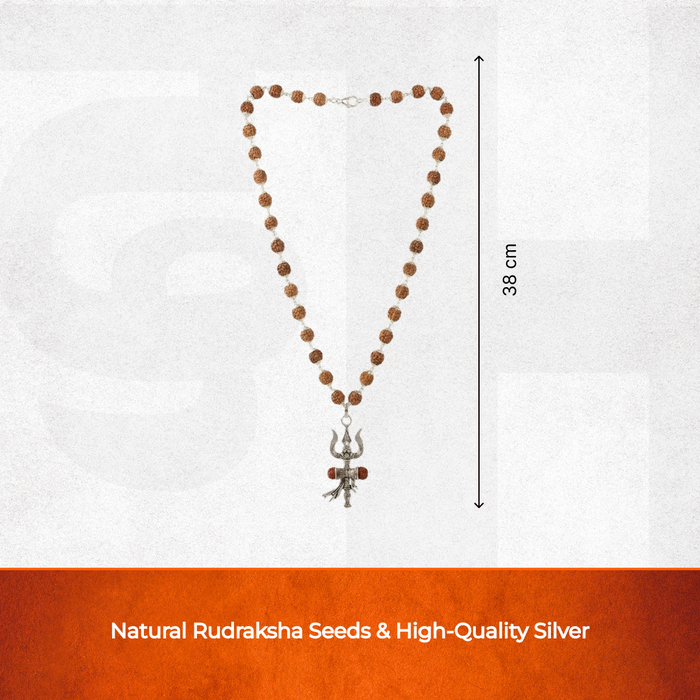 Silver Cap Rudraksha Mala with Trishul Damroo - view 3