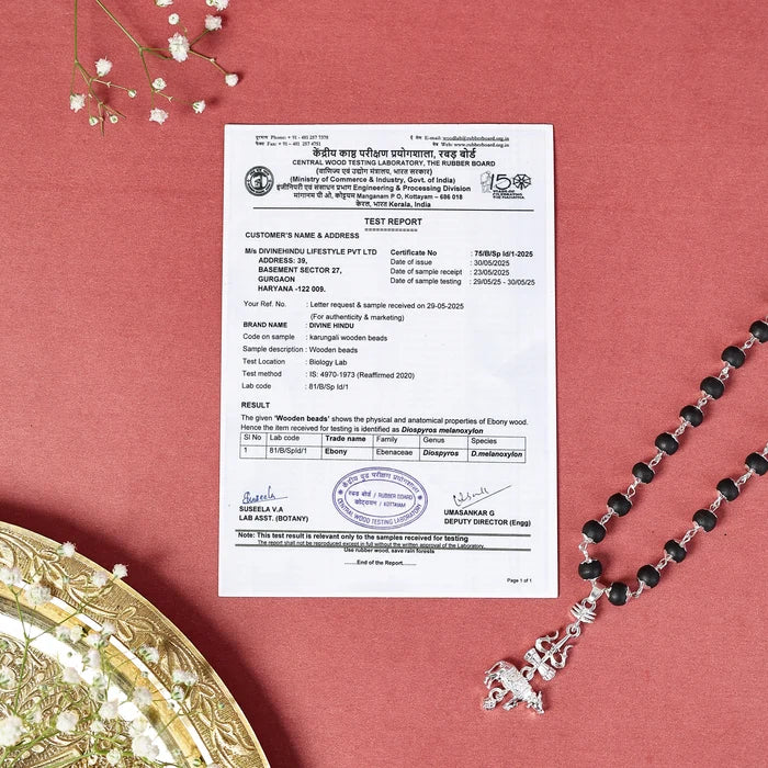Silver Capped Karungali with Trishul Nandi Pendant with FREE Karungali Bracelet - view 2