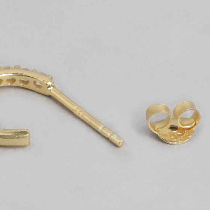 Star CZ Studded Golden Plated Earring